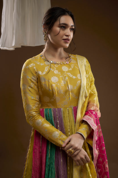 Multicolour Anarkali